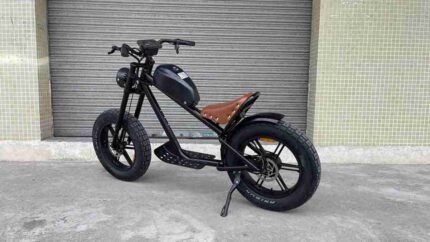 E Bike Folding Electric Bike