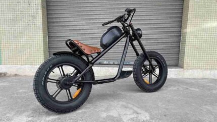 Eco Electric Folding Bike