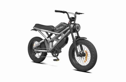 Eco Folding Electric Bike