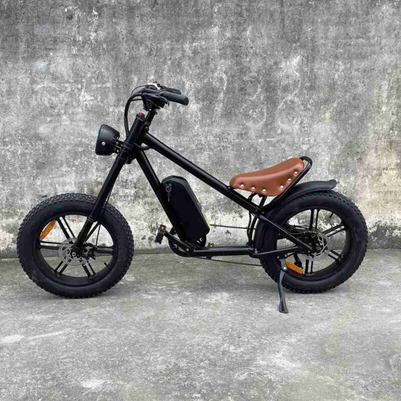 Electric Bike Fat Tire 750w