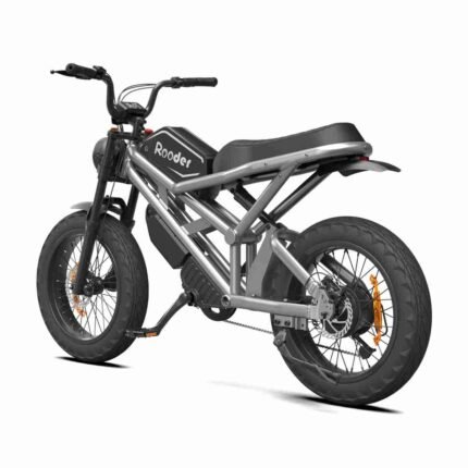 Electric Bike Full Suspension