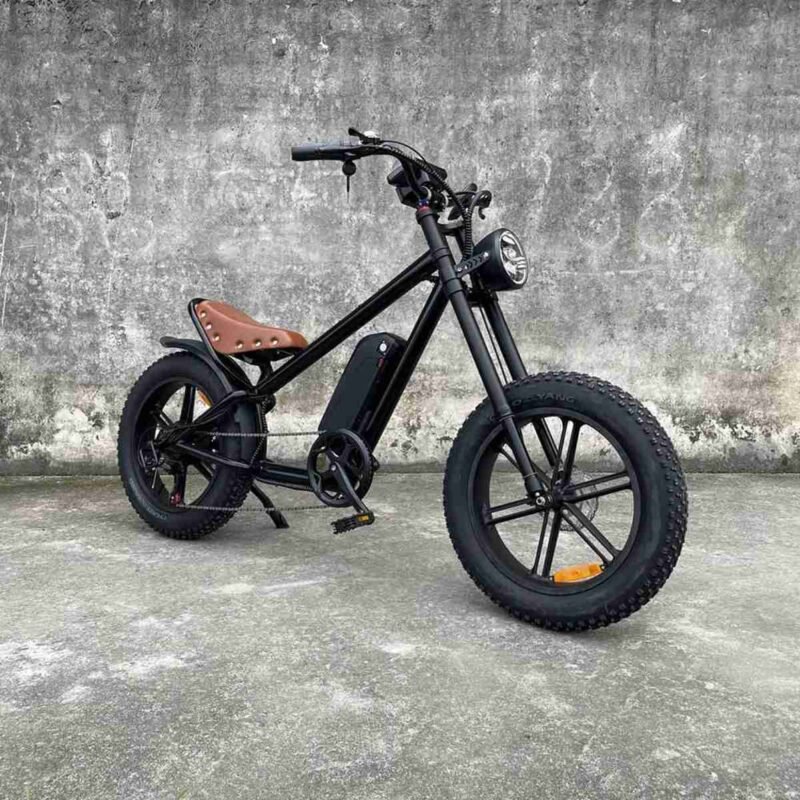 Electric Bike Manufacturers