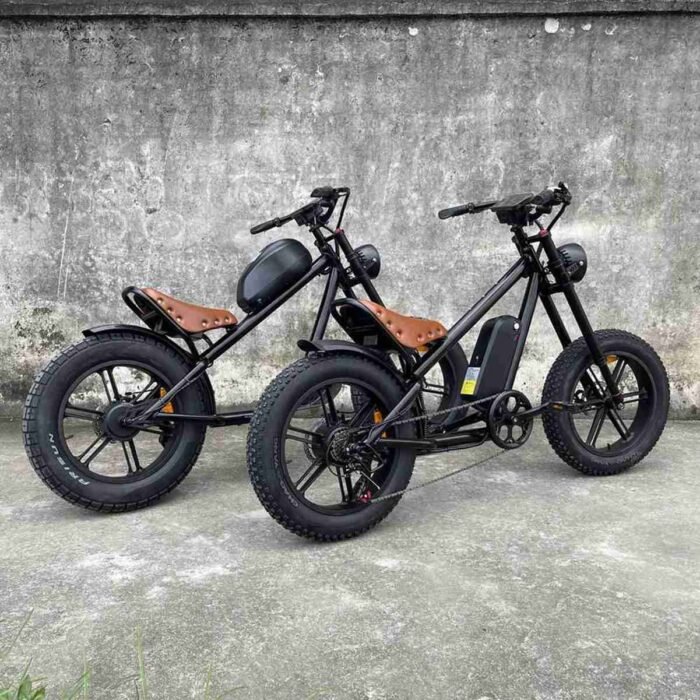 Electric Bike Wholesale