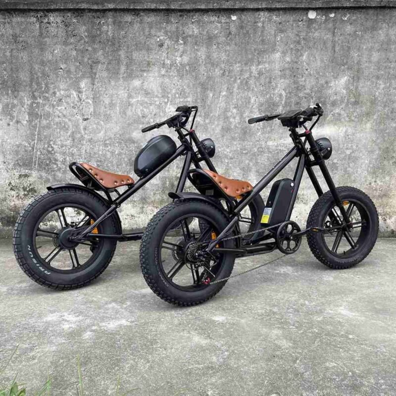 Electric Bike Wholesale