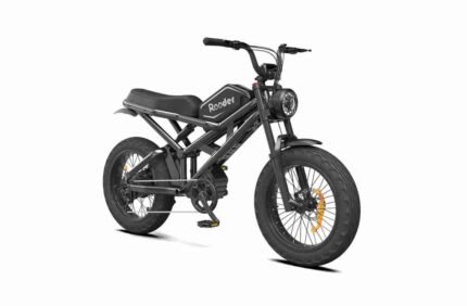 Electric Hybrid Bike