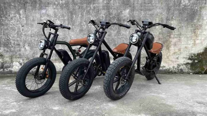 Electric Wide Tire Bike