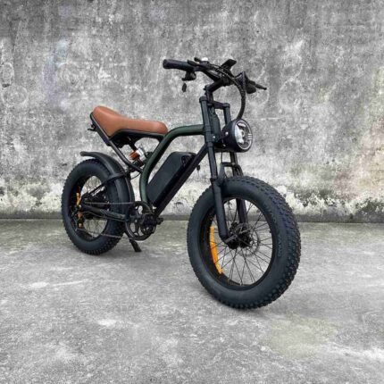 Fastest Fat Tire Electric Bike