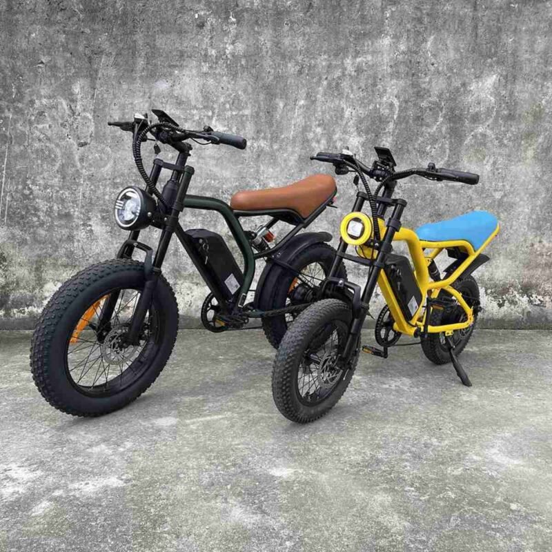 Fastest Portable Electric Bike