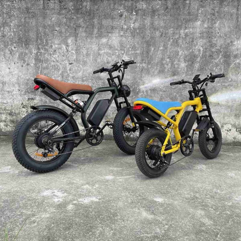 Fat Bike Electric Cycle