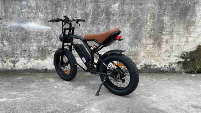 Fat Ebikes