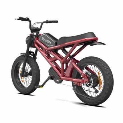 fat tire ebike