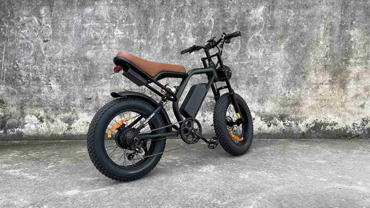 Fat Tire Ebike Sale