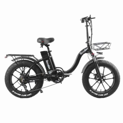 Fat Tire Off Road Electric Bike