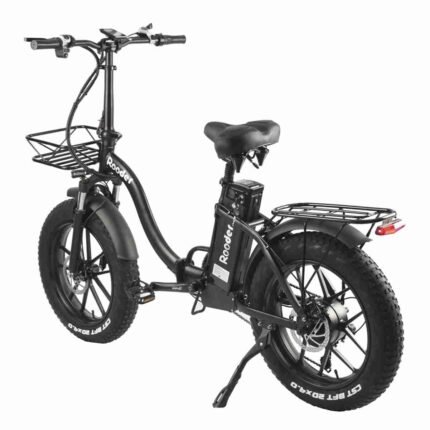 fat tyre electric cycle