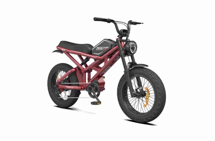 Shimano Electric Folding Bike