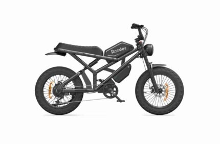 Best Affordable Electric Bike