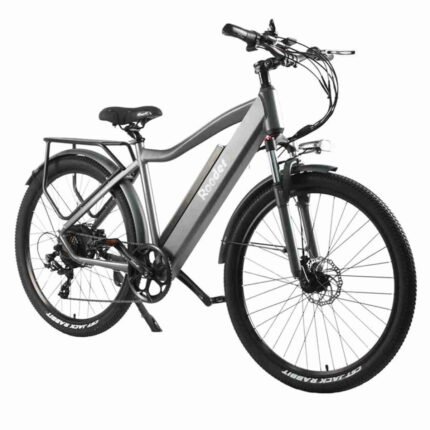 e bike price 3 wheels