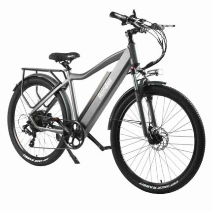 e bike price 3 wheels