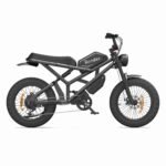 ebike cycle