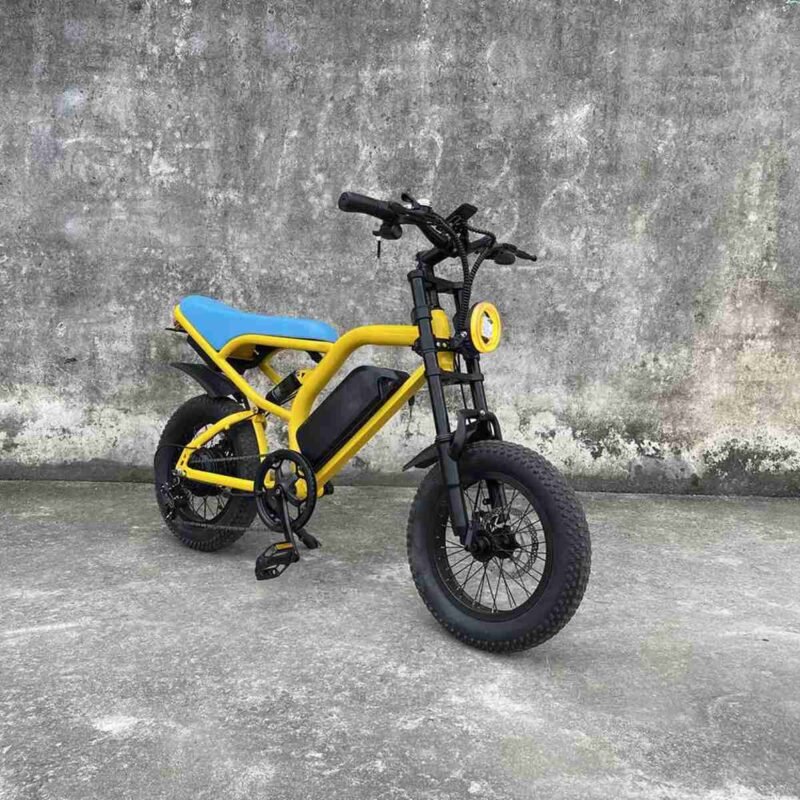 ebike store