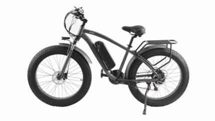 electric cargo bike