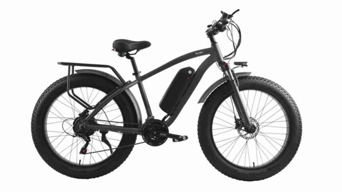 three wheel electric bike