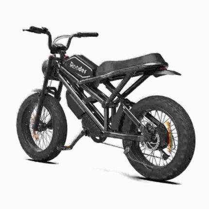 4 wheel electric bike for adults dealer manufacturer wholesale