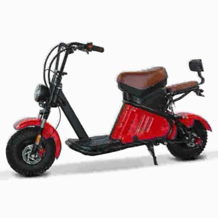 Citycoco 3 Wheel dealer manufacturer factory wholesale