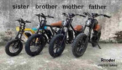 Electric Dirt Bike Adult For Sale dealer manufacturer wholesale