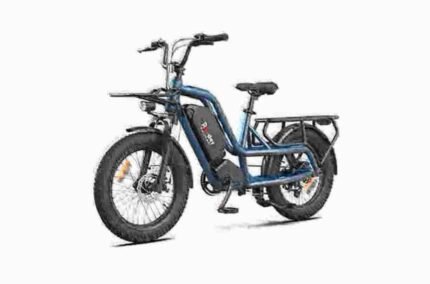 Electric Fat Bike Snow dealer manufacturer factory wholesale
