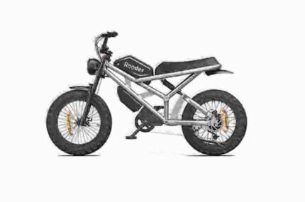 best fat tire ebike 2024 dealer manufacturer factory wholesale