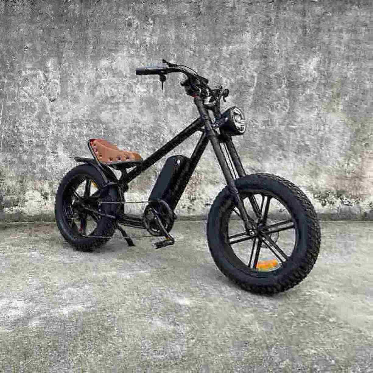 buy electric bike dealer manufacturer factory wholesale