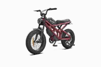 e bike trike dealer manufacturer factory wholesale