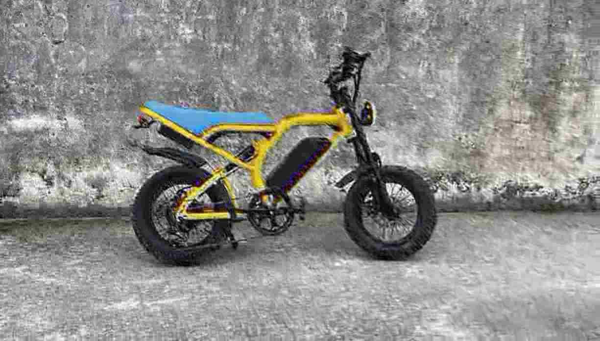elektrikli bike dealer manufacturer factory wholesale