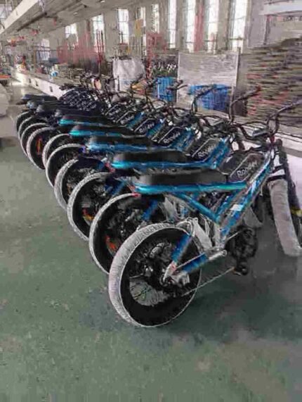 two seater electric bike dealer manufacturer factory wholesale