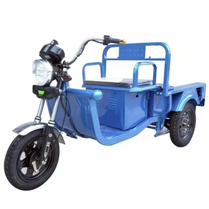 cargo e trike HM-9.2 800W 48V 20AH cheap price