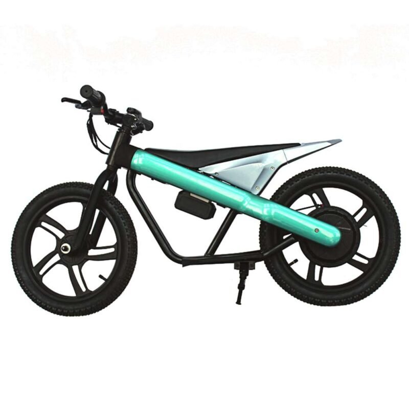 electric bike for kids et-1 double seat