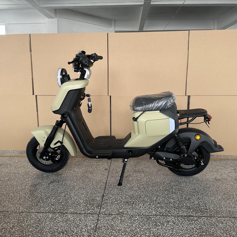 48V Battery Scooter: Performance Insights