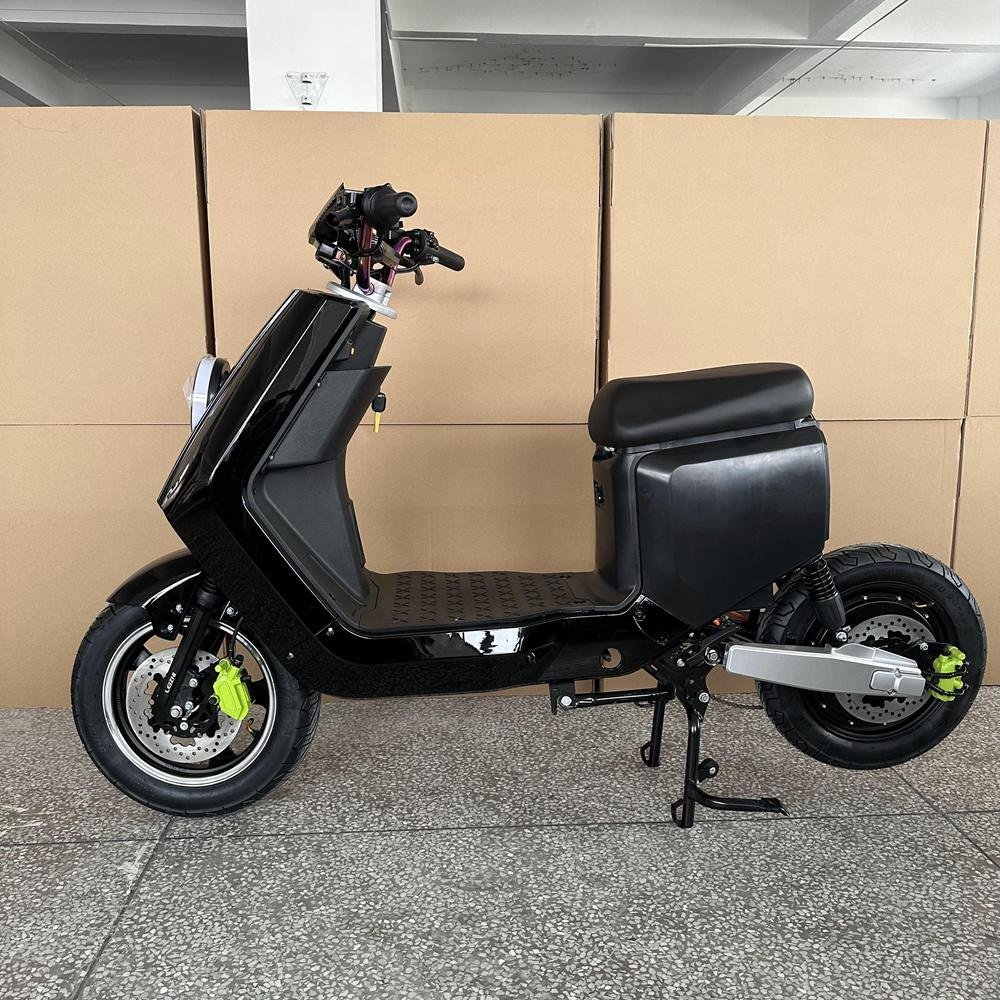 Bicycle E Models: Top Picks Reviewed