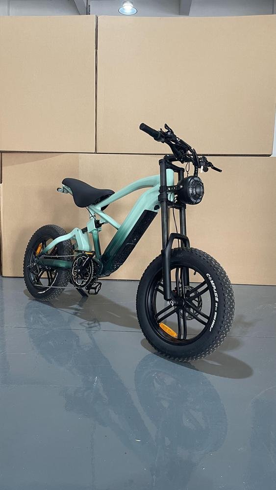 Bike Motorized: Top Models in 2024