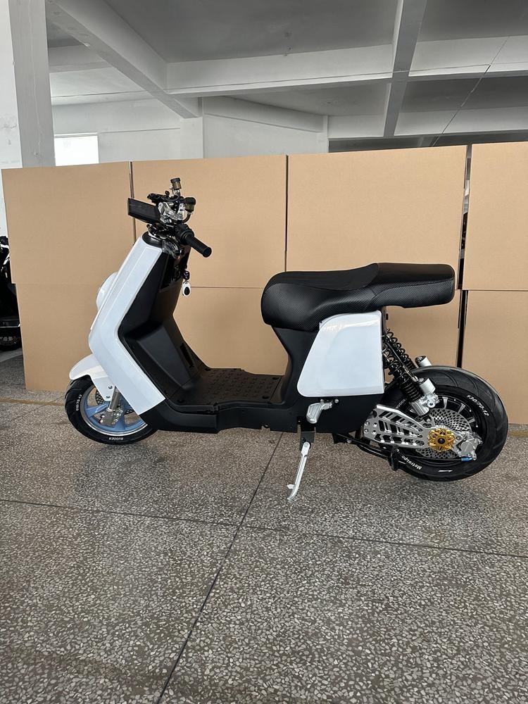 By Electric Bike: Top Models for Every Need