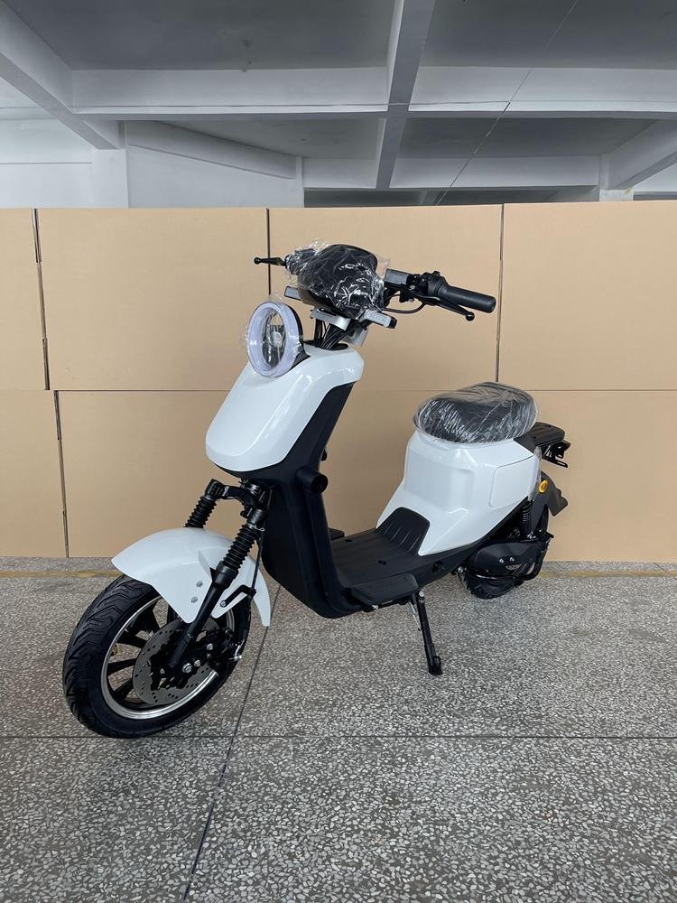 Dual Motor Folding Electric Scooters