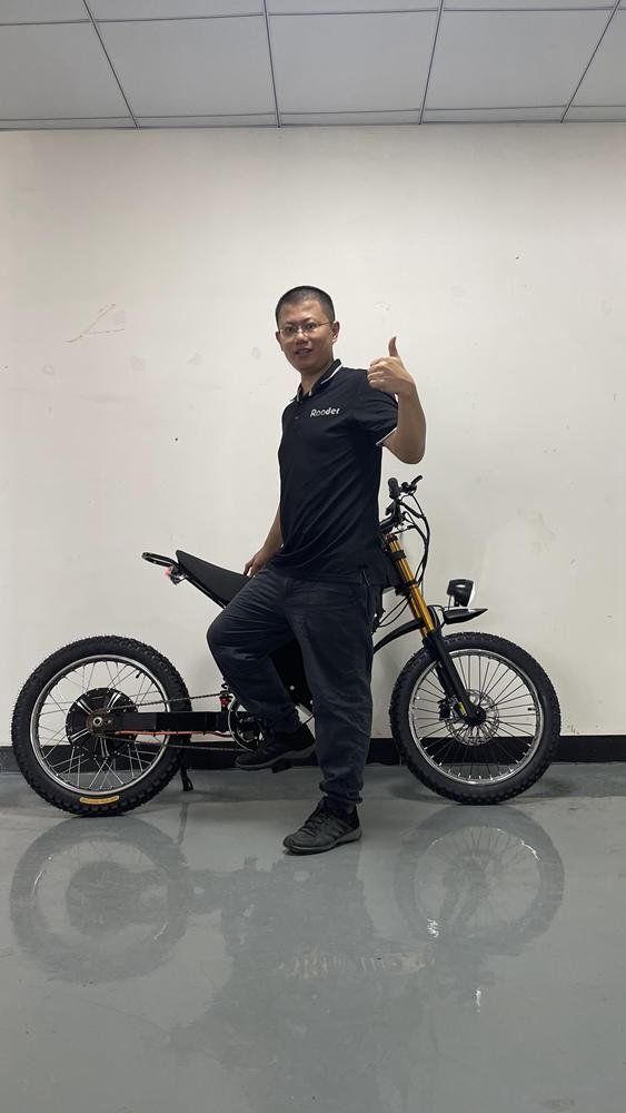 Electric Bike with Sidecar for Dog: Practical and Fun