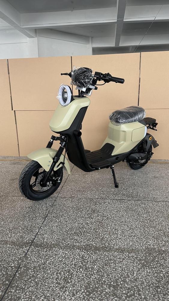 Electric Bike with an Efficient Engine