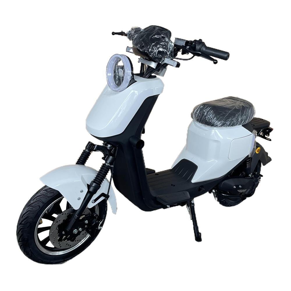 Electric Scooter in the World: Best Choices