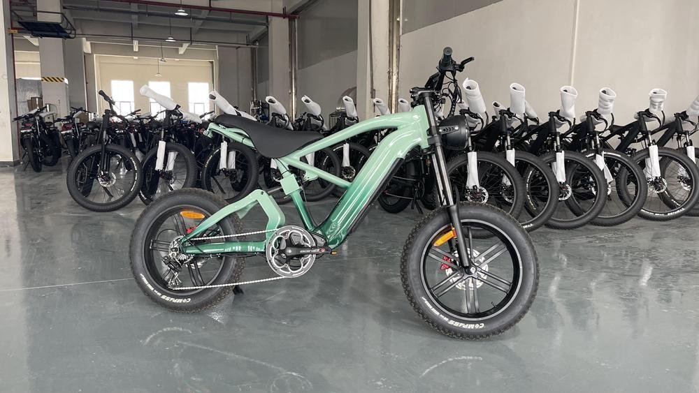Electrified Bicycle: Top Models Reviewed