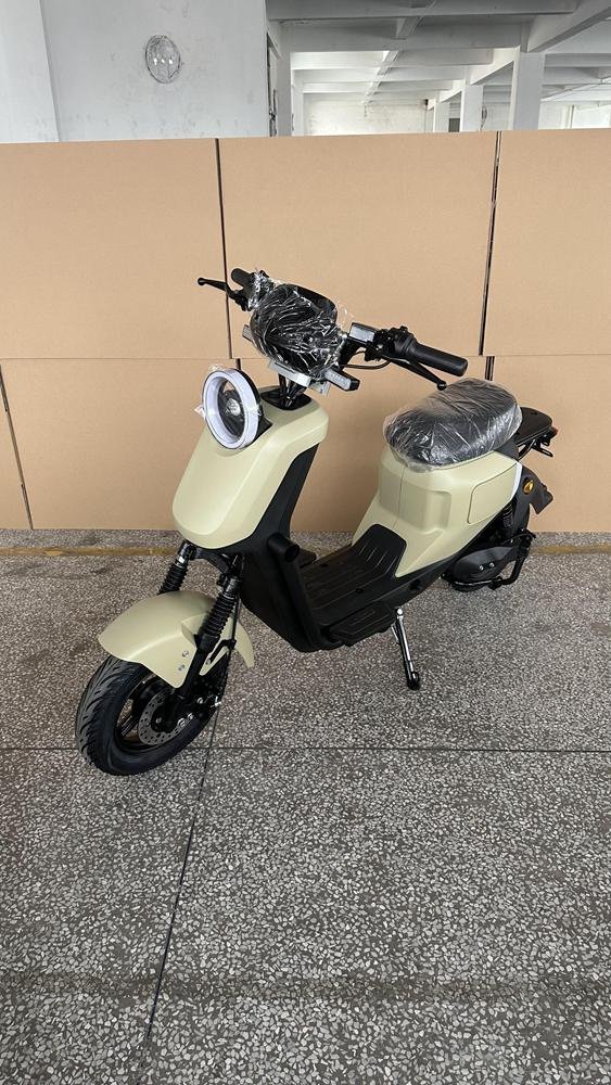Experience Efficiency: Electric Motorcycle Argentina
