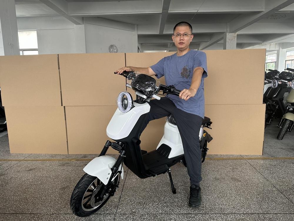 New Tricycle: Best Models