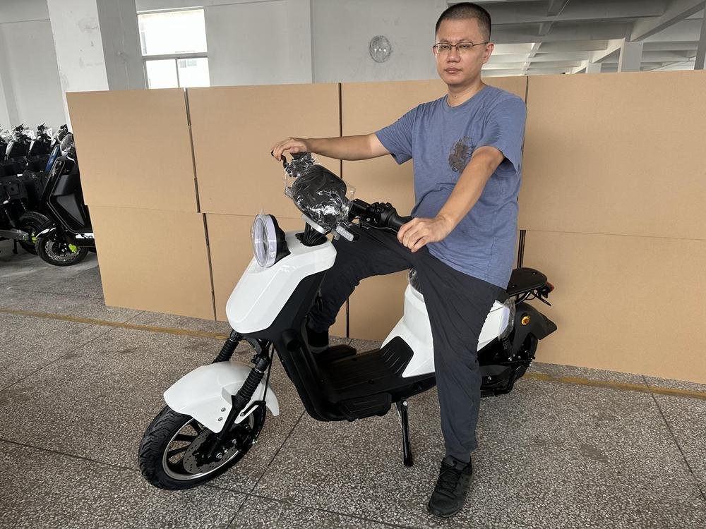 Performance Motorcycle: Best Models for 2024