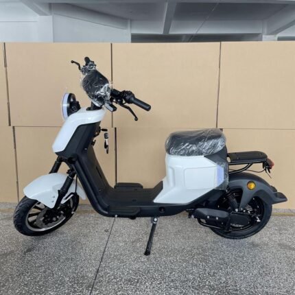 an electric motorcycle r1021 60v 1500w 12 inch tire lithium CKD